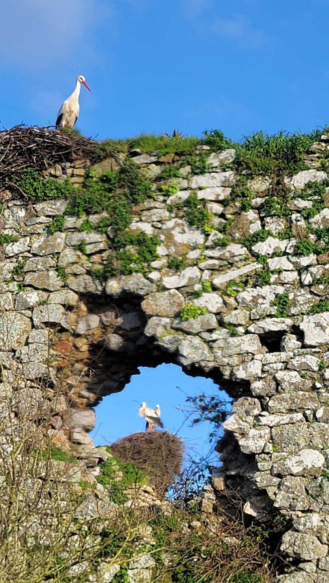 Gite Au Coeur Du Dday Brevands Bagian luar foto